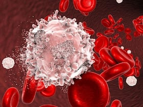 Understanding The Basics Of Blood Cancer With Dr Reddy Understanding The Basics Of Blood Cancer With Dr Reddy