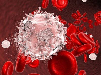 Blood Cancer Treatment: Importance Of Stem Cell Transplantation To Boost Survival Rates Of Patients