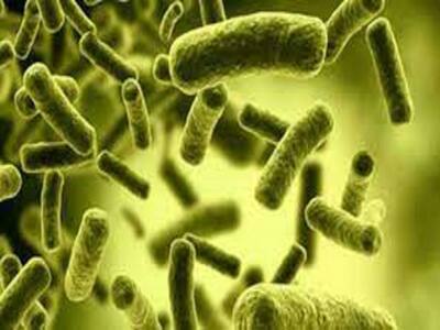 Rare Flesh Eating Bacteria Nearly Kills A Woman In UK