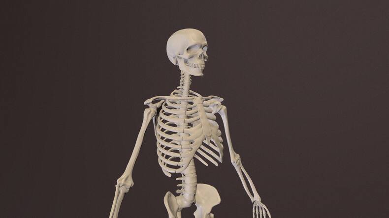 Arthroplasty: All About This Knee Replacement Surgery