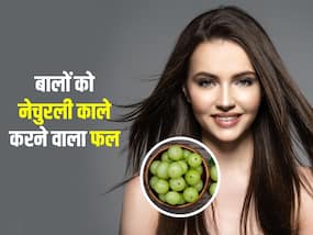 अब नहीं रहेगा कम उम्र में बाल सफेद होने का खतरा, इस हरे फल के इस्तेमाल से काले चमकते रहेंगे बाल