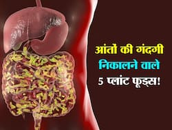 आंतों में जमा गंदगी निकाल फेंकते हैं पौधे से बने ये 5 प्रोडक्ट! जानें कौन सा फूड है खराब आंतों के लिए बेस्ट