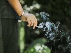 Planting More Trees Can Help Reduce The Harmful Effects of Tobacco Smoke: Here's How
