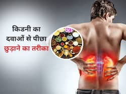 दवाएं ले लेकर हो गई किडनी खराब? ये 5 आयुर्वेदिक जड़ी-बूटियां रखेंगी आपकी किडनी को स्वस्थ