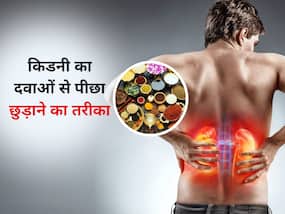 दवाएं ले लेकर हो गई किडनी खराब? ये 5 आयुर्वेदिक जड़ी-बूटियां रखेंगी आपकी किडनी को स्वस्थ