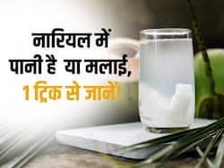 नारियल में सिर्फ पानी है या मलाई भी? इस 1 तरीके से खुद लगाएं पता और बेवकूफ बनने से बचें