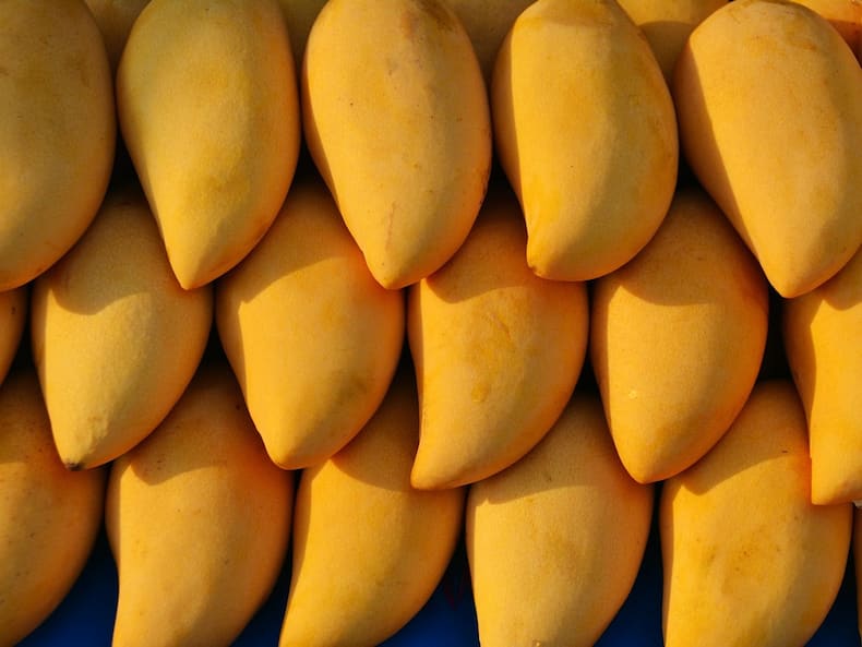 Smoothie Bowl To Salad: Mango Recipes To Devour This Summer Season