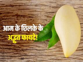 खाकर फेंके नहीं आम का छिलका! जानें किस तरह आम का छिलका खाने से मिलेंगे ये 3 बड़े फायदे खाकर फेंके नहीं आम का छिलका! जानें किस तरह आम का छिलका खाने से मिलेंगे ये 3 बड़े फायदे