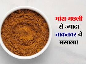 मांस-हरी सब्जी से ज्यादा ताकतवर हैं सिर्फ ये 1 मसाला! जानें आपकी रसोई में छिपा दुनिया का सबसे शक्तिशाली मसाला
