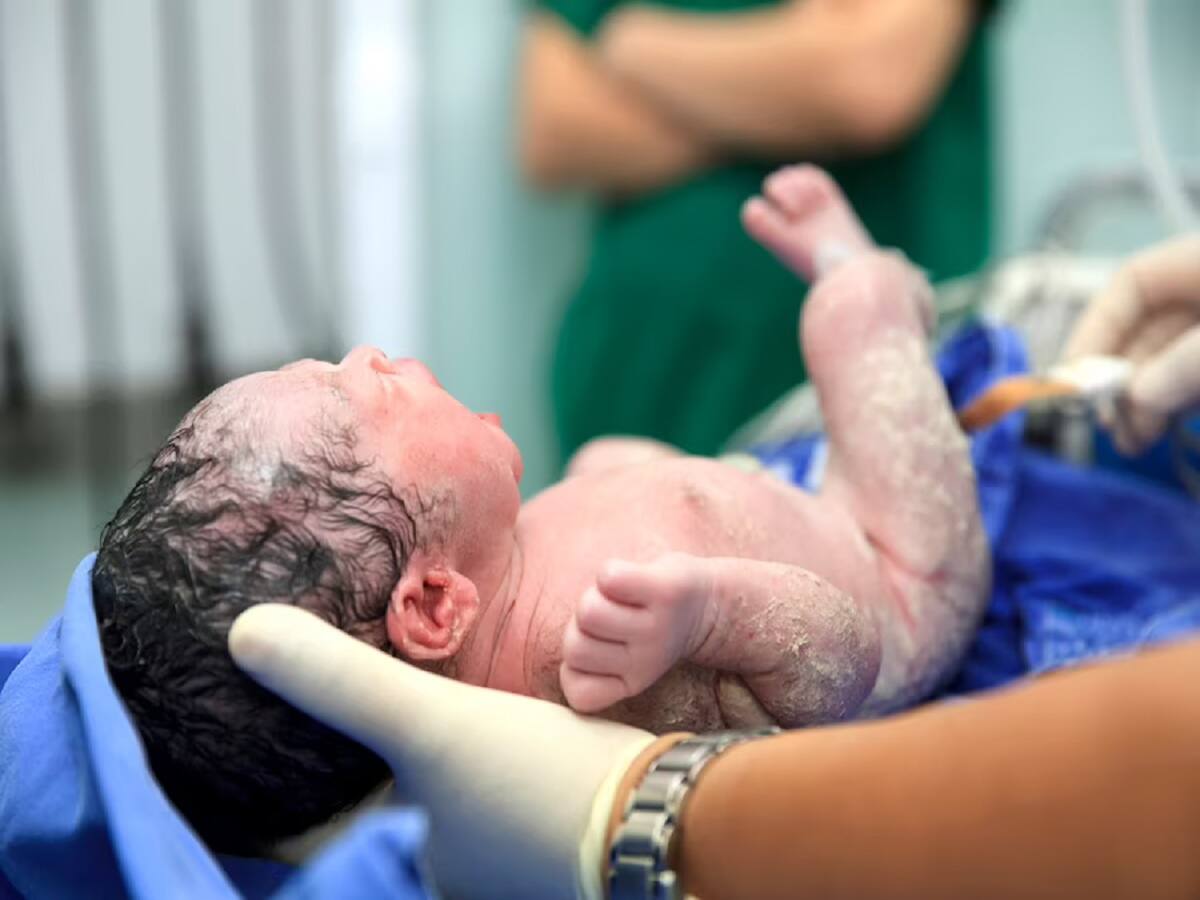 A Pregnant Woman Or Newborn Dies Every 7 Seconds: WHO - Vimarsana News
