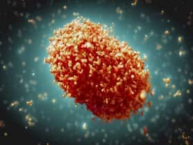 Monkeypox no longer a global health emergency, declares WHO