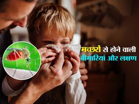 मच्छरों के कारण होने वाली ये 5 सबसे बड़ी बीमारियां, बारिश के मौसम में इग्नोर न करें इन बीमारियों के लक्षण