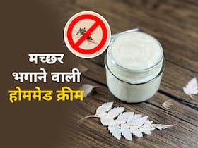 दिल्ली वालों खुशखबरी: मच्छरों से परेशान घर पर बनाएं मच्छर भगाने वाली ये खास क्रीम, नहीं होगा डेंगू, मलेरिया