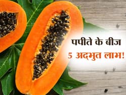 गर्मी में पपीता नहीं पपीते के बीज देंगे शरीर को ये 5 फायदे! निकाल फेंकेंगे शरीर की जिद्दी चर्बी, होंगे ये कमाल