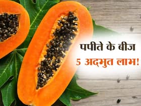 गर्मी में पपीता नहीं पपीते के बीज देंगे शरीर को ये 5 फायदे! निकाल फेंकेंगे शरीर की जिद्दी चर्बी, होंगे ये कमाल