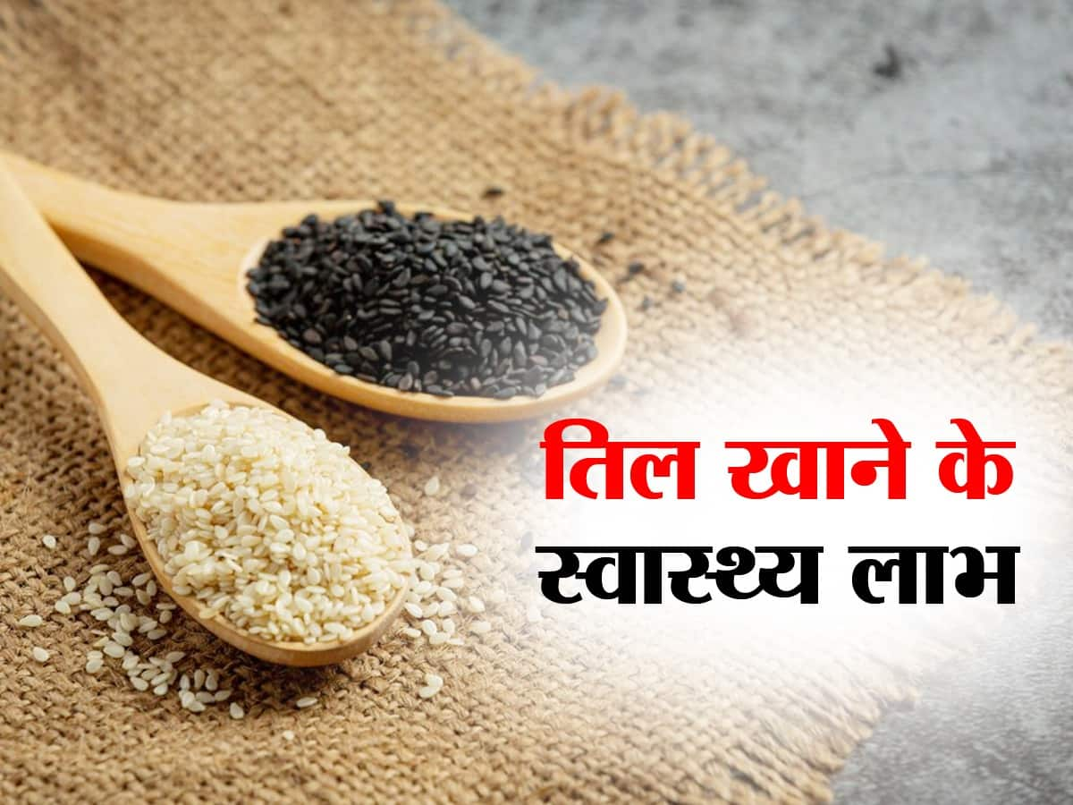 Sesame Seeds Benefits And Uses In Hindi हिंदी