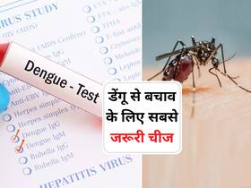 डेंगू को बढ़ने से रोकने के लिए एक्सपर्ट ने बताया क्या है सबसे ज्यादा जरूरी, बरसात के मौसम से पहले जान लें ये बात