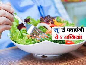 'लू' लगने पर खाएंगे ये 5 सब्जियां तो महसूस करें शरीर में ठंडक! जानें कौन सी सब्जी गर्मी में रखेगी शरीर को कूल