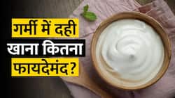 गर्मियों में आप भी खाते हैं रोज दही? Experts कर रहे आगाह, संभल कर करें ये काम