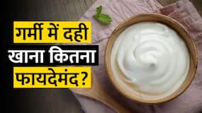 गर्मियों में आप भी खाते हैं रोज दही? Experts कर रहे आगाह, संभल कर करें ये काम