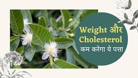 Weight के साथ Cholesterol भी कम करेगा ये पत्ता, जानें पूरा मामला