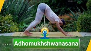 Adhomukhshwanasana