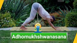 Adhomukhshwanasana: Benefits And How To Do It