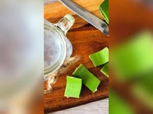 Can We Mix And Drink Aloe Vera Juice With Amla Juice?