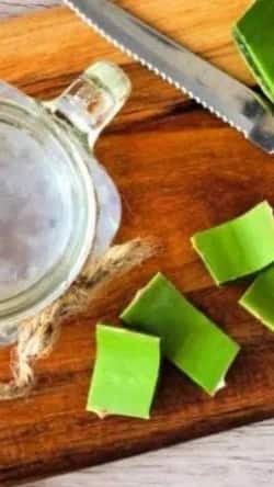 Can We Mix And Drink Aloe Vera Juice With Amla Juice?