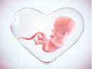 The Benefits of Cord Blood Banking: What Every Expecting Parent Should Know