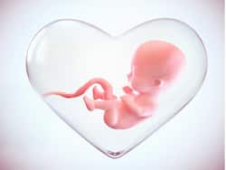 The Benefits of Cord Blood Banking: What Every Expecting Parent Should Know