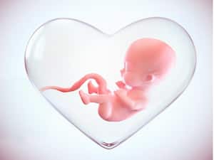 The Benefits of Cord Blood Banking: What Every Expecting Parent Should Know The Benefits of Cord Blood Banking: What Every Expecting Parent Should Know