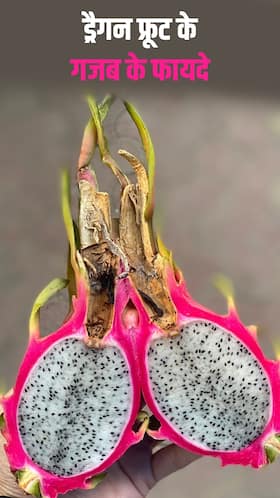 Dragon Fruit  : एक नहीं अनेकों हैं ड्रैगन फ्रूट के फायदे