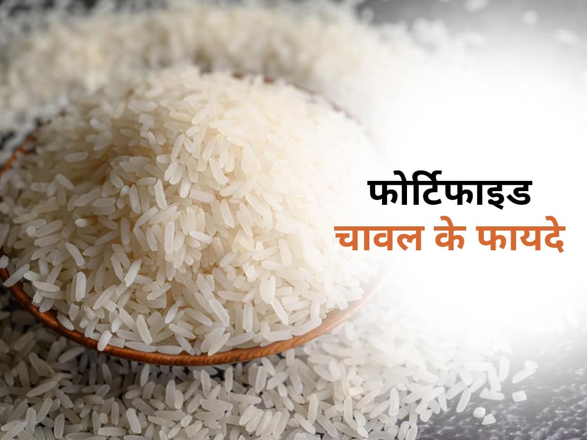 fortified rice essay in hindi