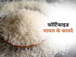 सामान्य चावल से ज्यादा फायदेमंद होता है फोर्टिफाइड चावल, जानिए इस खास चावल के 4 बेहतरीन फायदे