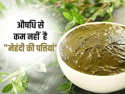 рдмрд╛рд▓реЛрдВ рдФрд░ рд╕реНрдХрд┐рди рдХреЗ рд▓рд┐рдП рдЖрдпреБрд░реНрд╡реЗрджрд┐рдХ рдФрд╖рдзрд┐ рд╕реЗ рдХрдо рдирд╣реАрдВ рд╣реИ рдореЗрд╣рдВрджреА, рдЗрд╕ рддрд░рд╣ рдХрд░реЗрдВ рдЗрд╕реНрддреЗрдорд╛рд▓