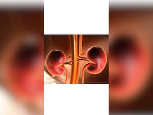 Why Shouldn’t You Ignore The Health Of Your Kidneys?