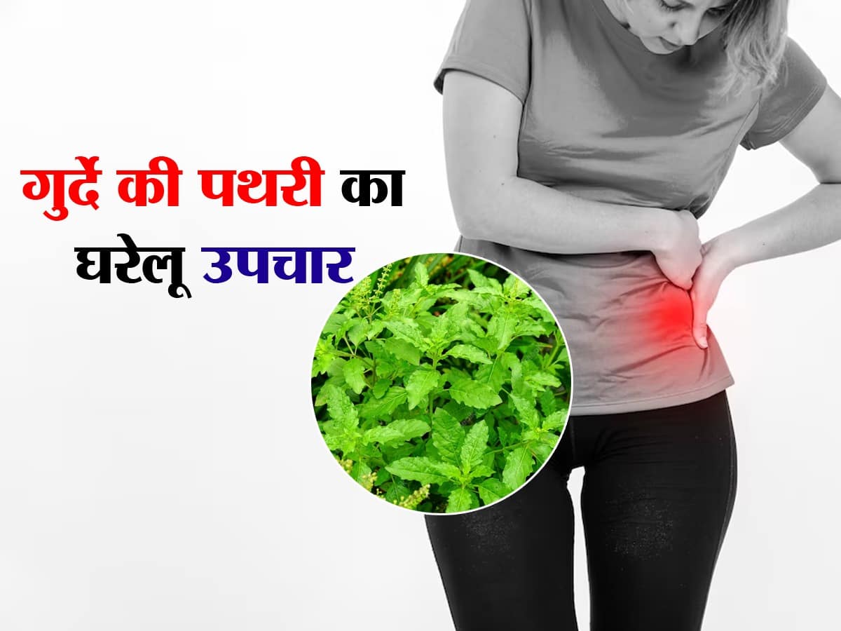 Tulsi Juice in Kidney Stone In Hindi TheHealthSite