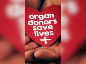 7 Organs You Can Donate To People Who Need Them