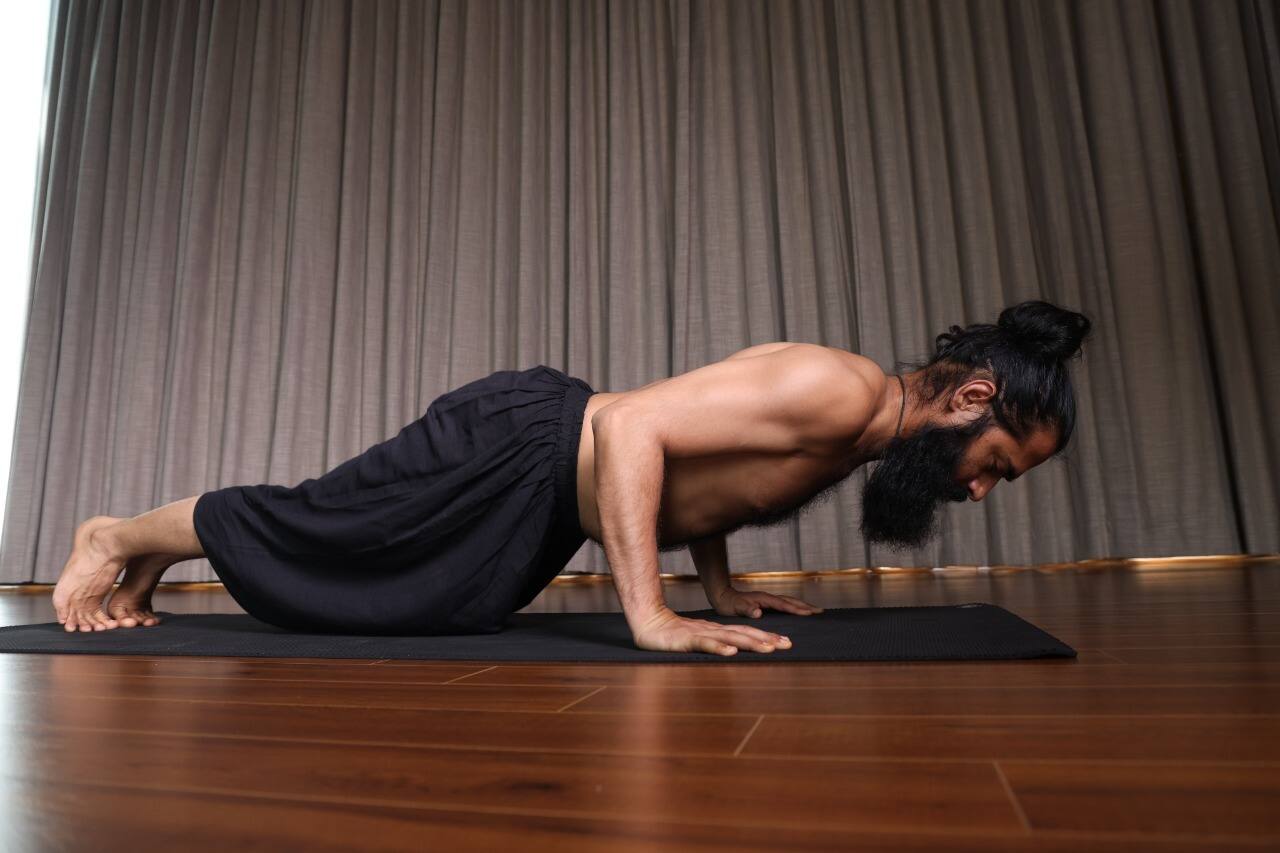 Four-Limbed Staff Pose: How To Practice, Benefits And Precautions For Chaturanga  Dandasana