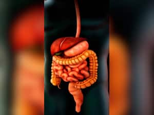 आंतों से गंदा पदार्थ निकालेंगी ये जड़ी-बूटियां