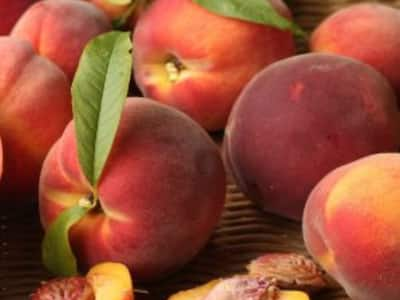 From Healthy Skin To Weight Loss, Check Out The Health Benefits Of Peaches