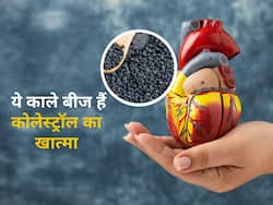 Bad cholesterol को नसों से खींचकर निकाल देंगे ये 5 काले बीज, आज ही शामिल करें अपनी डाइट में