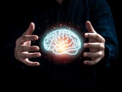 दिमाग तेज करने के साथ याददाश्त भी बढ़ाते हैं ये 5 वेजिटेरियन डाइट, जानिए कौन से फूड ब्रेन को करते हैं बूस्ट