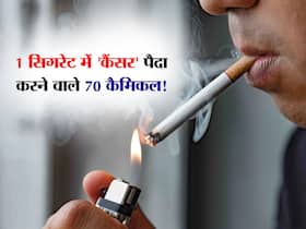 1 सिगरेट में कैंसर पैदा करने वाले 70 कैमिकल! एक्सपर्ट से जानें कौन-कौन से कैंसर का शिकार हो सकते हैं आप