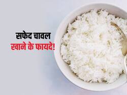 शरीर की इन 5 जरूरतों को पूरा करने में 'माहिर' है सफेद चावल! जानें सफेद चावल को खाने से मिलने वाले फायदे