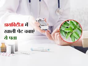 रोज सुबह उठते ही चबाएं इस पेड़ का एक पत्ता, बिना दवा के रहेगा डायबिटीज कंट्रोल