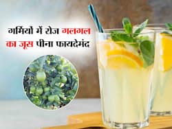 बेहद हेल्दी है बड़ा सा नींबू दिखने वाले ये फल, संतरा-मौसमी नहीं गर्मियों में गलगल का जूस पीने के 5 फायदे