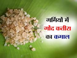 सर्दियों में ही नहीं बल्कि गर्मियों में भी बेहद फायदेमंद है गोंद कतीरा, जानें इससे मिलने वाले 5 फायदे