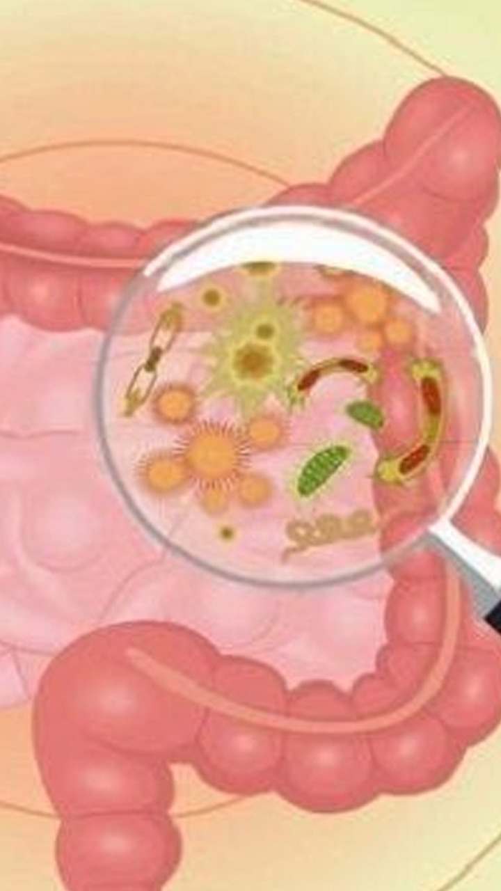 Poor Gut Health Can Cause Diseases: What Is The Link Between Them?